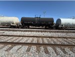PRGX 10683
